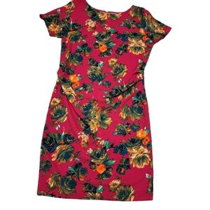 Pink Blush Maternity Dress